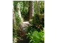 Landsborough QLD 4550