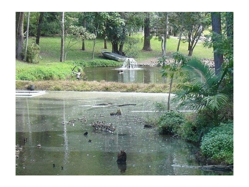 Landsborough QLD 4550