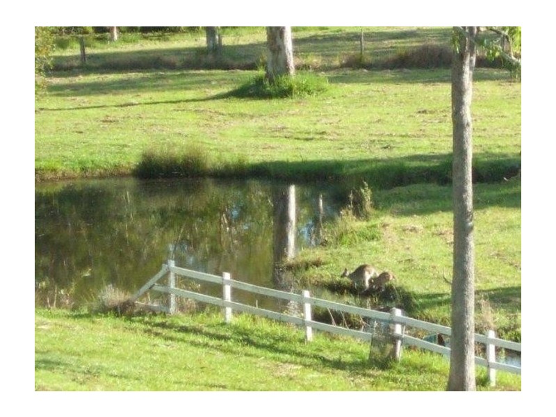 Landsborough QLD 4550