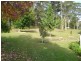 71 Albert Street, Kendall NSW 2439