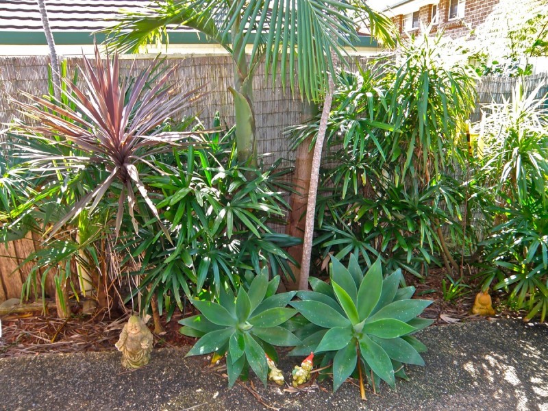 5/33 Savoy Street, Port Macquarie NSW 2444