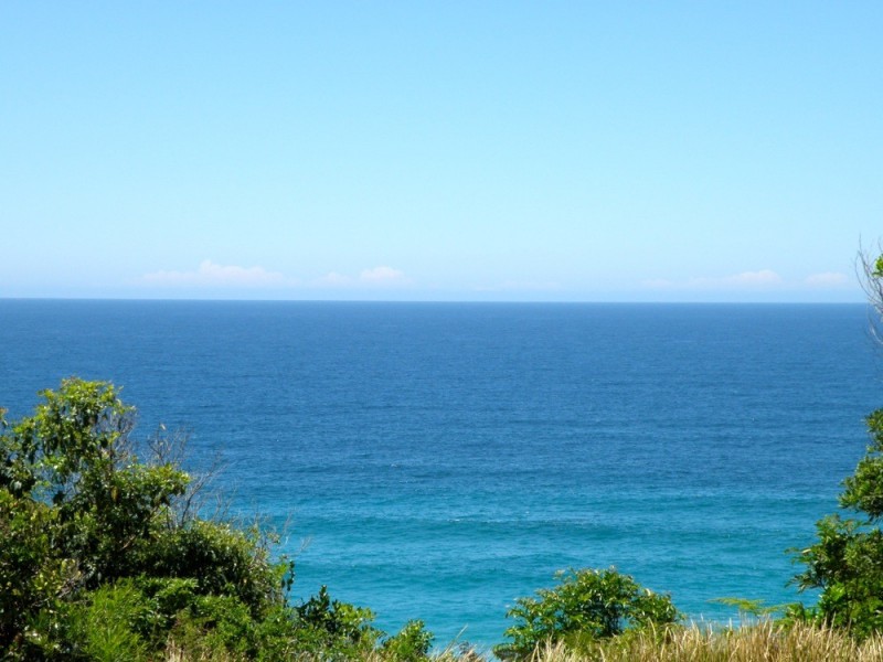 1/99 Pacific Drive, Port Macquarie NSW 2444