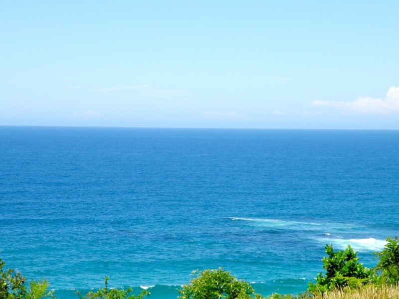 1/99 Pacific Drive, Port Macquarie NSW 2444