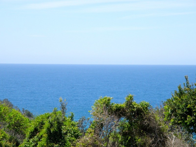 1/99 Pacific Drive, Port Macquarie NSW 2444