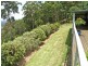 227 Red Hill Road, Telegraph Point NSW 2441