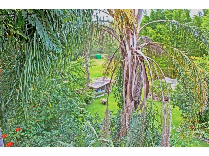 113 Farrawells Road, Telegraph Point NSW 2441