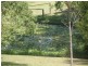14 Verdale Place, King Creek NSW 2446