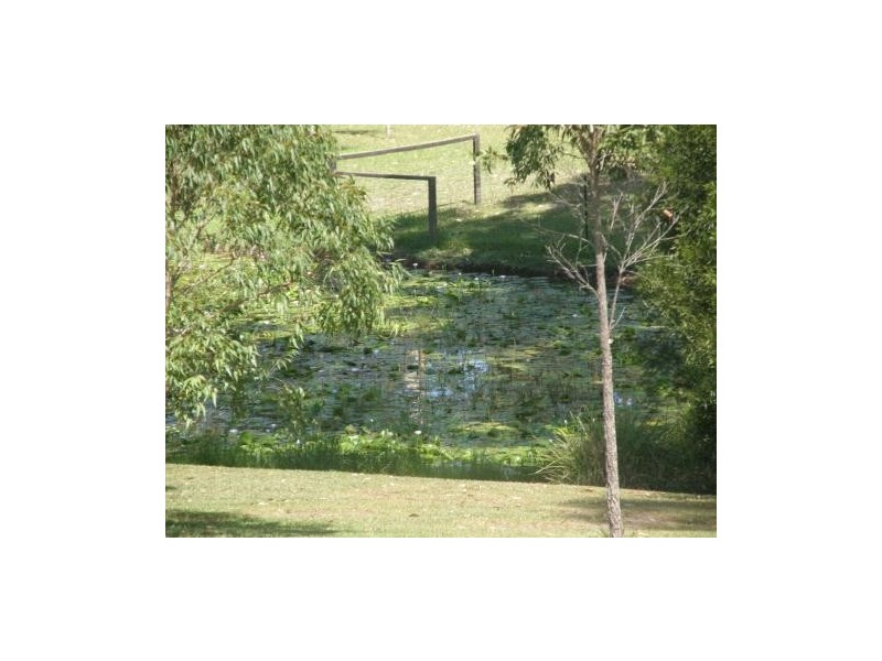 14 Verdale Place, King Creek NSW 2446
