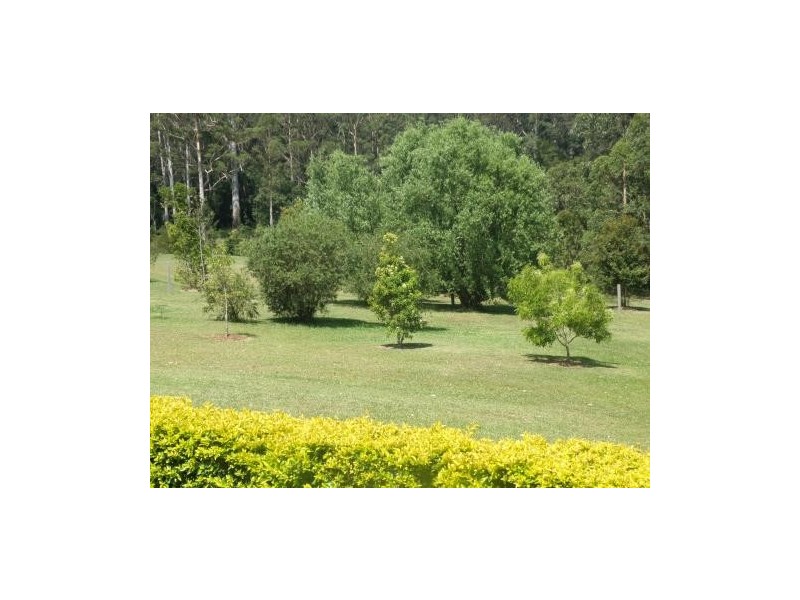 14 Verdale Place, King Creek NSW 2446