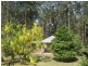 21 Harradine Street, Telegraph Point NSW 2441
