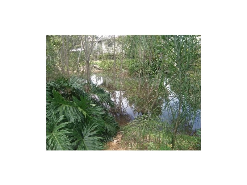 79270 / Hastings River Drive, Port Macquarie NSW 2444