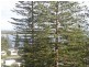 103 / Munster Street, Port Macquarie NSW 2444