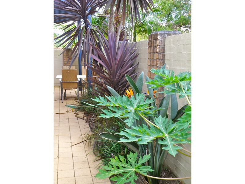 1/55 Owen Street, Port Macquarie NSW 2444