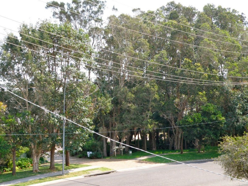 55 Hart Street, Port Macquarie NSW 2444