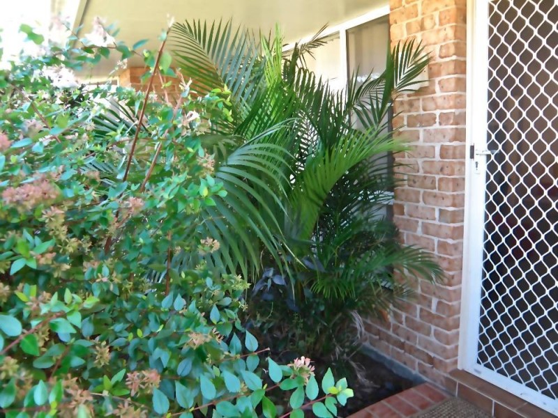 2/5 Hakea Place, Port Macquarie NSW 2444