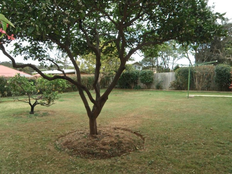 86  Pacific Drive, Port Macquarie NSW 2444