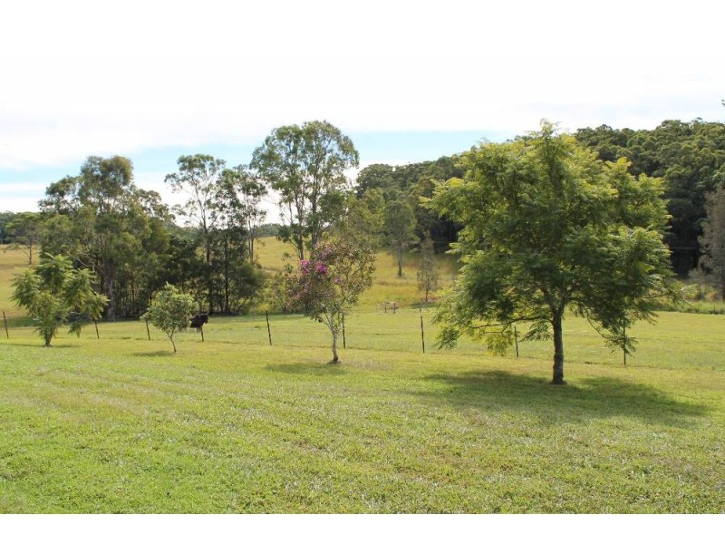 100 Mingaletta Road, Kundabung NSW 2441