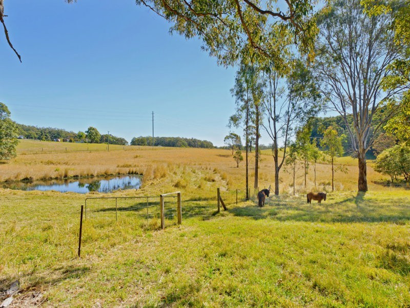 100 Mingaletta Road, Kundabung NSW 2441