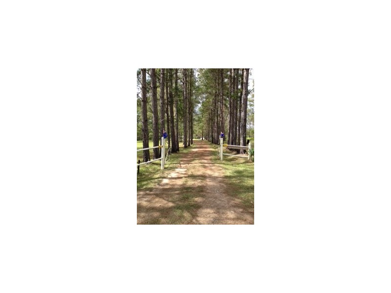 92 Wharf Road, Kundabung NSW 2441