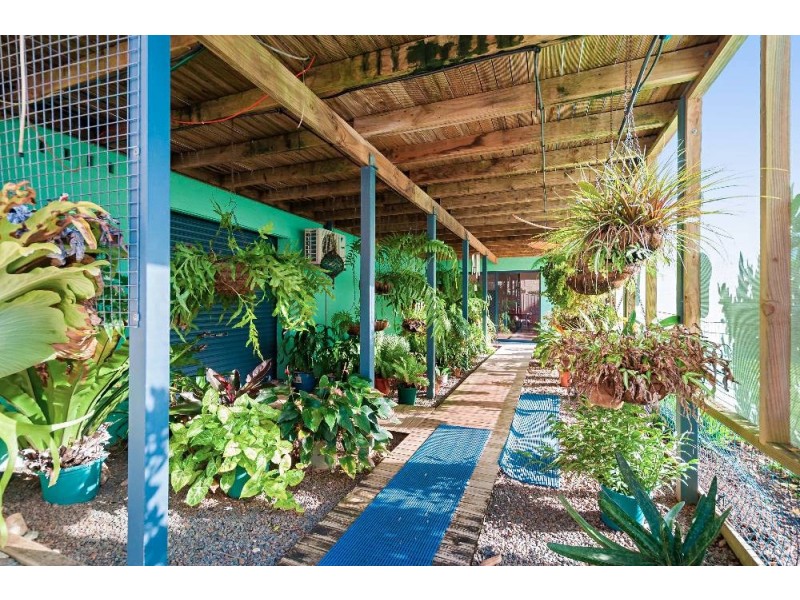 55 Jonas Absalom Drive, Port Macquarie NSW 2444