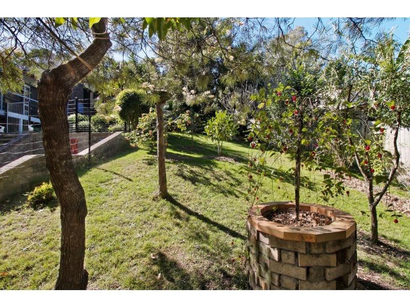 49 Hamlyn Drive, Port Macquarie NSW 2444