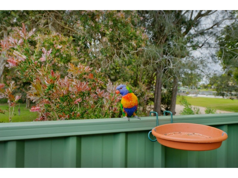 82 Riverside Residential Village, Port Macquarie NSW 2444