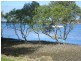 145 Riverside Dr, Port Macquarie NSW 2444