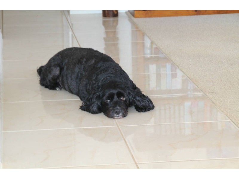 10/45 Seaview Av, Port Macquarie NSW 2444