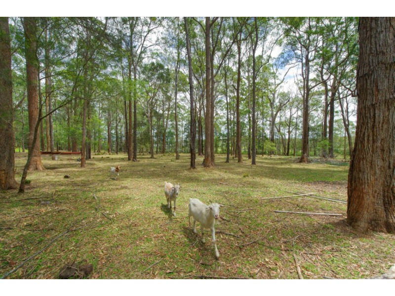 7 The Grange, Port Macquarie NSW 2444