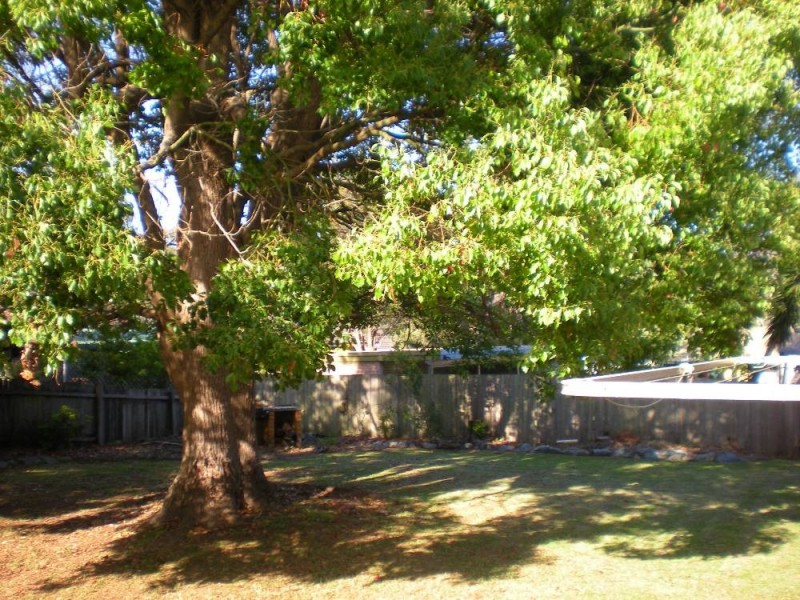 5 Yarramundi Road, Port Macquarie NSW 2444