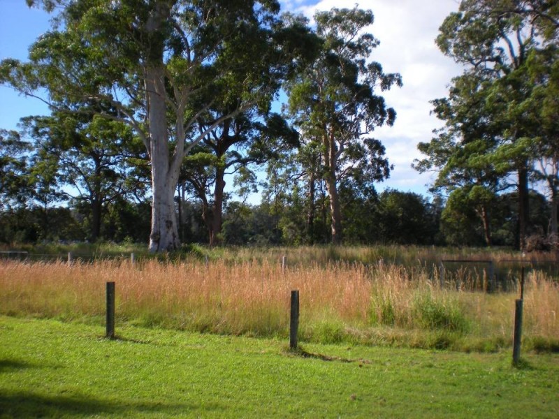 150 The Hatch Road, Blackmans Point NSW 2444