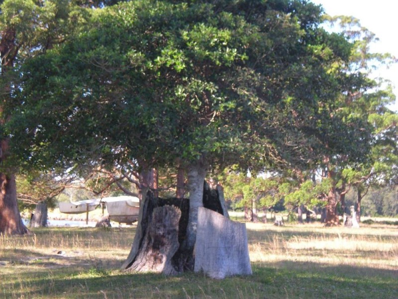 150 The Hatch Road, Blackmans Point NSW 2444