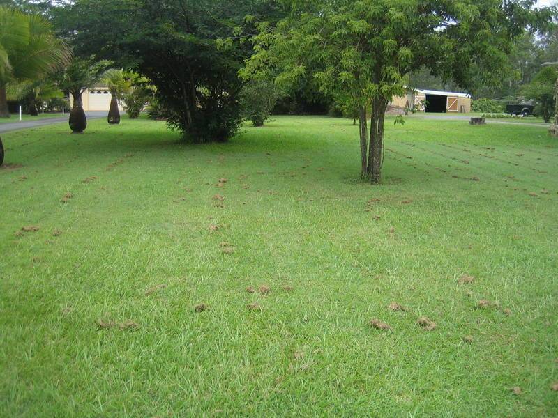 Caboolture QLD 4510
