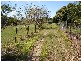 Wamuran QLD 4512