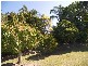 Morayfield QLD 4506