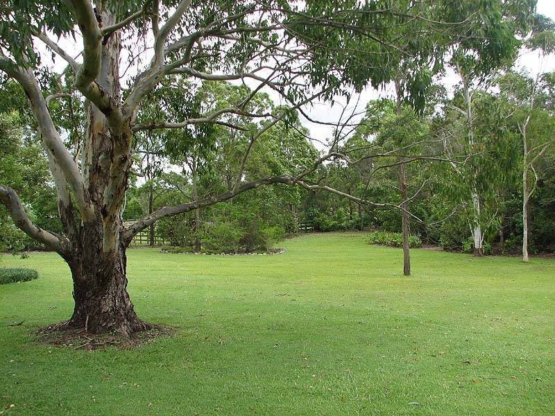 17 Pipit Ct, Upper Caboolture QLD 4510