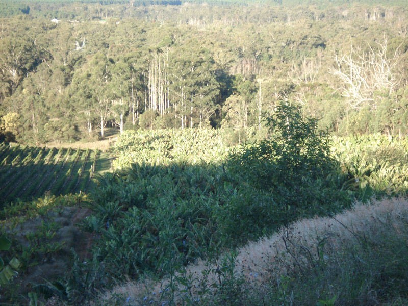 Wamuran QLD 4512