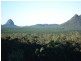 Wamuran QLD 4512