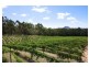 Wamuran QLD 4512