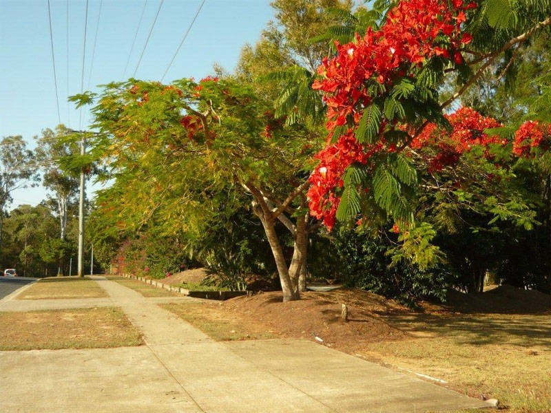 Upper Caboolture QLD 4510