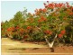 Upper Caboolture QLD 4510
