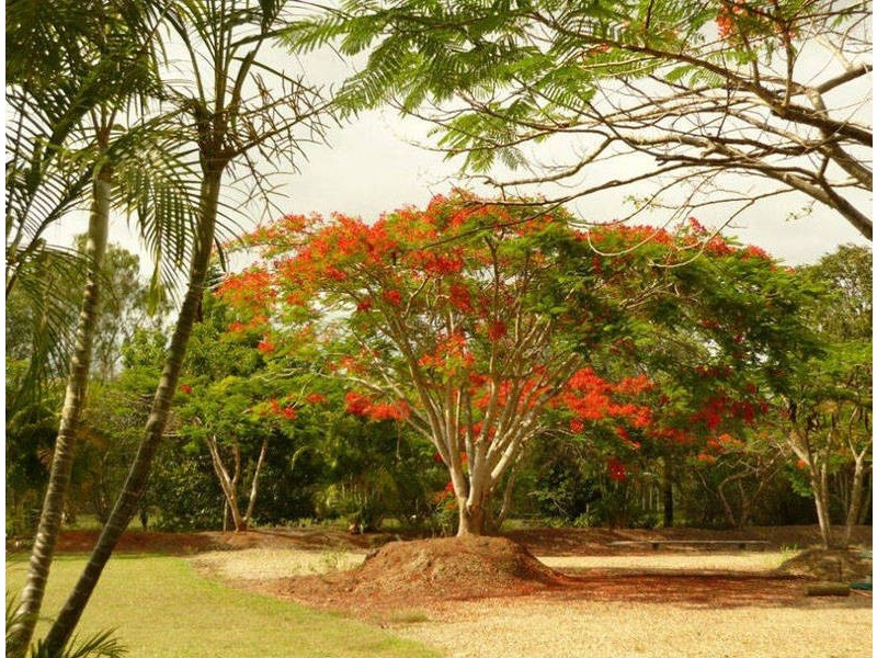 Upper Caboolture QLD 4510
