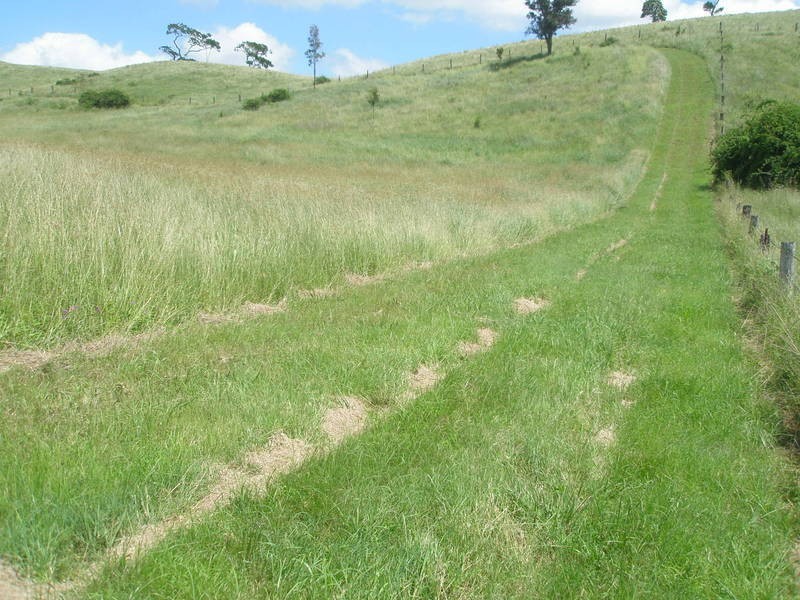 Gregors Creek QLD 4313