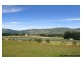 Wamuran QLD 4512