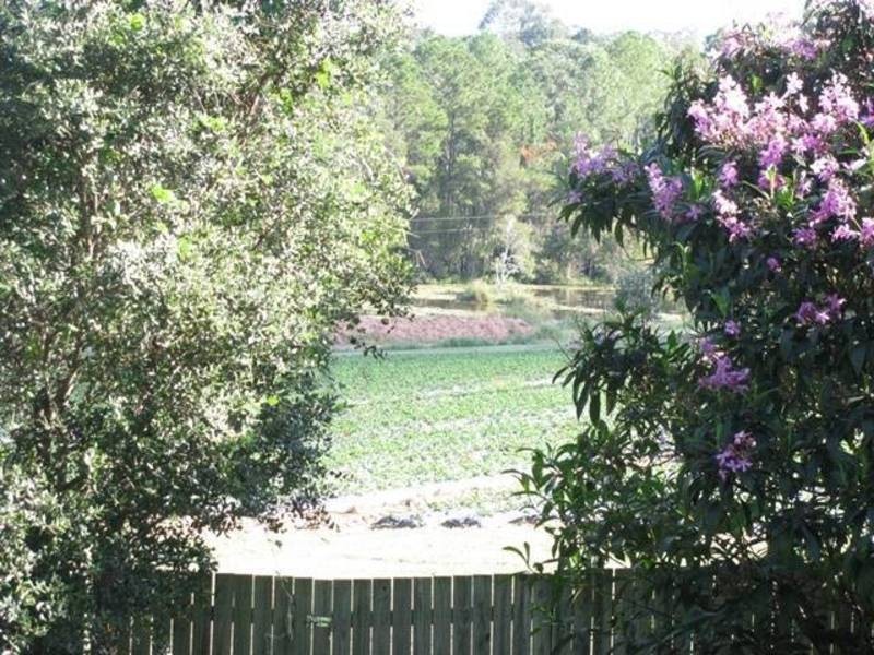 39 YOUNG RD, Glass House Mountains QLD 4518