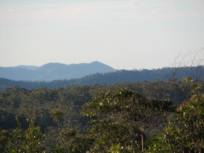 Bellthorpe QLD 4514