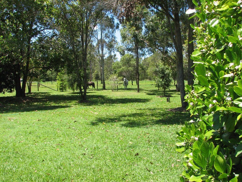 176 Dobson Lne, Bellmere QLD 4510