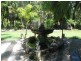 108 Wallace St, Beachmere QLD 4510