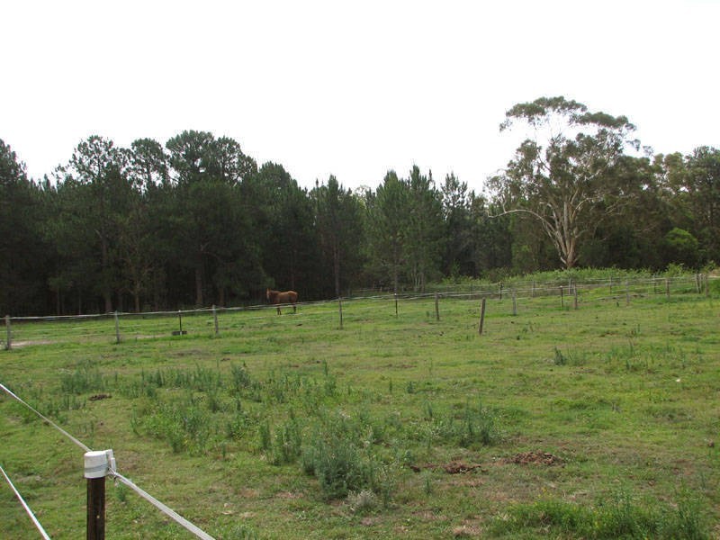18 Jean Rd, Morayfield QLD 4506