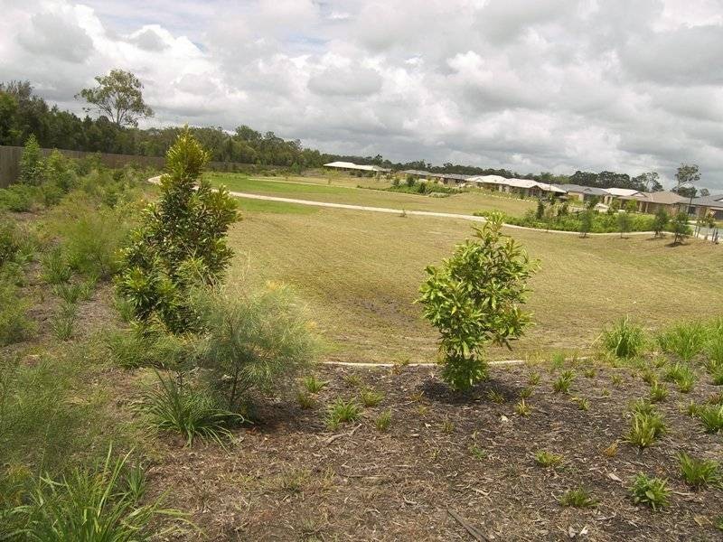 43 Summerhill Drive, Morayfield QLD 4506